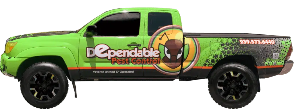 dependable truck small